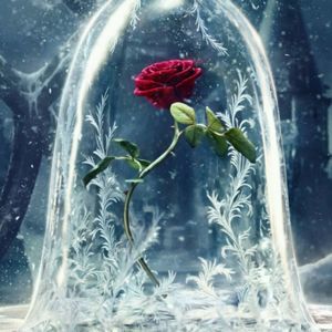 Meet your Posher, Hayde